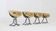 Set of 4 Pan Am dining chairs by Gastone Rinaldi for Rima Italy 1970s