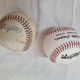 Vintage baseball bat 1960