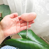 Rose quartz corkscrew