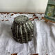 Lot de 8 anciens moules Flan Lyonnais -vintage