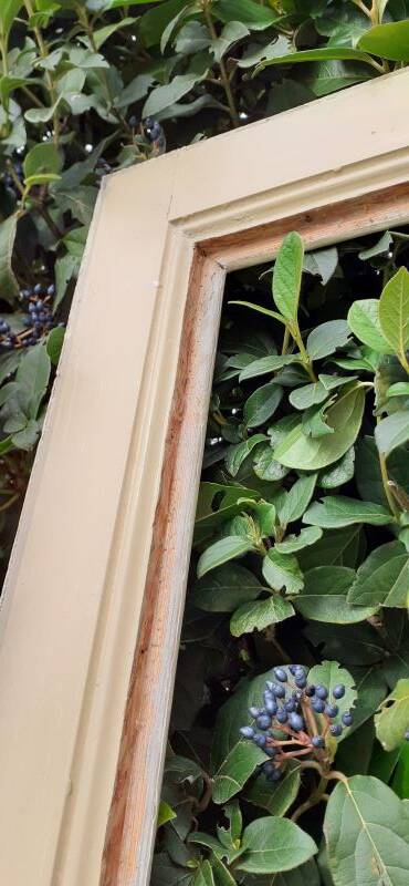 Glass communication door h221.5x90cm old 4 panes without interior glazing