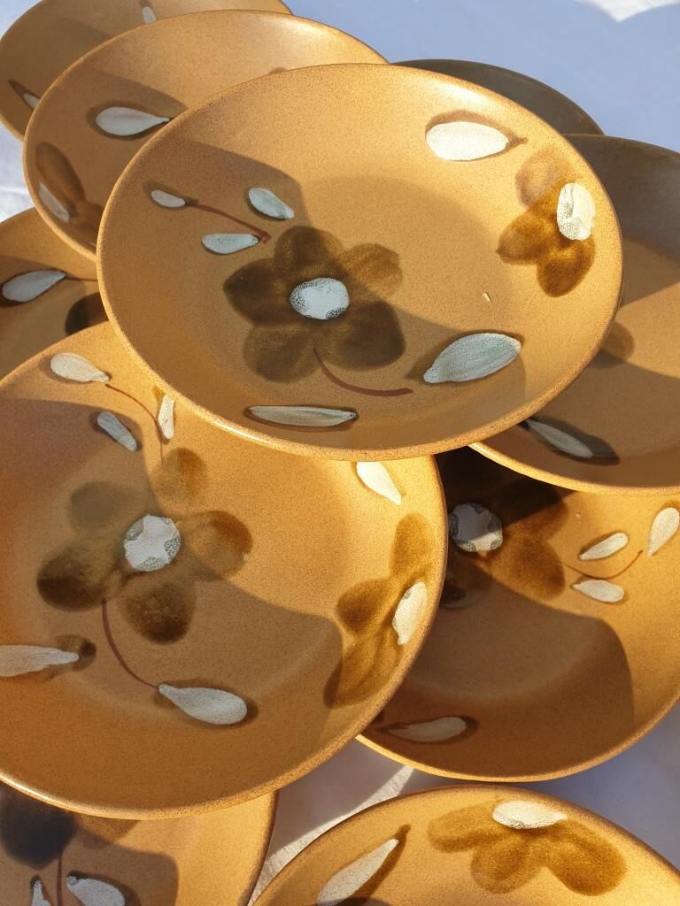 Set 12 hollow plates D20.5 Nadège 1970 Sarreguemines