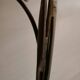 Coat and hat rack design – Unique piece by a blacksmith artisan