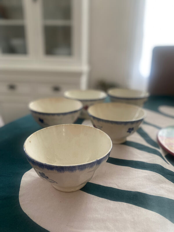 5 bols Digoin & Sarreguemines série Mary Lou