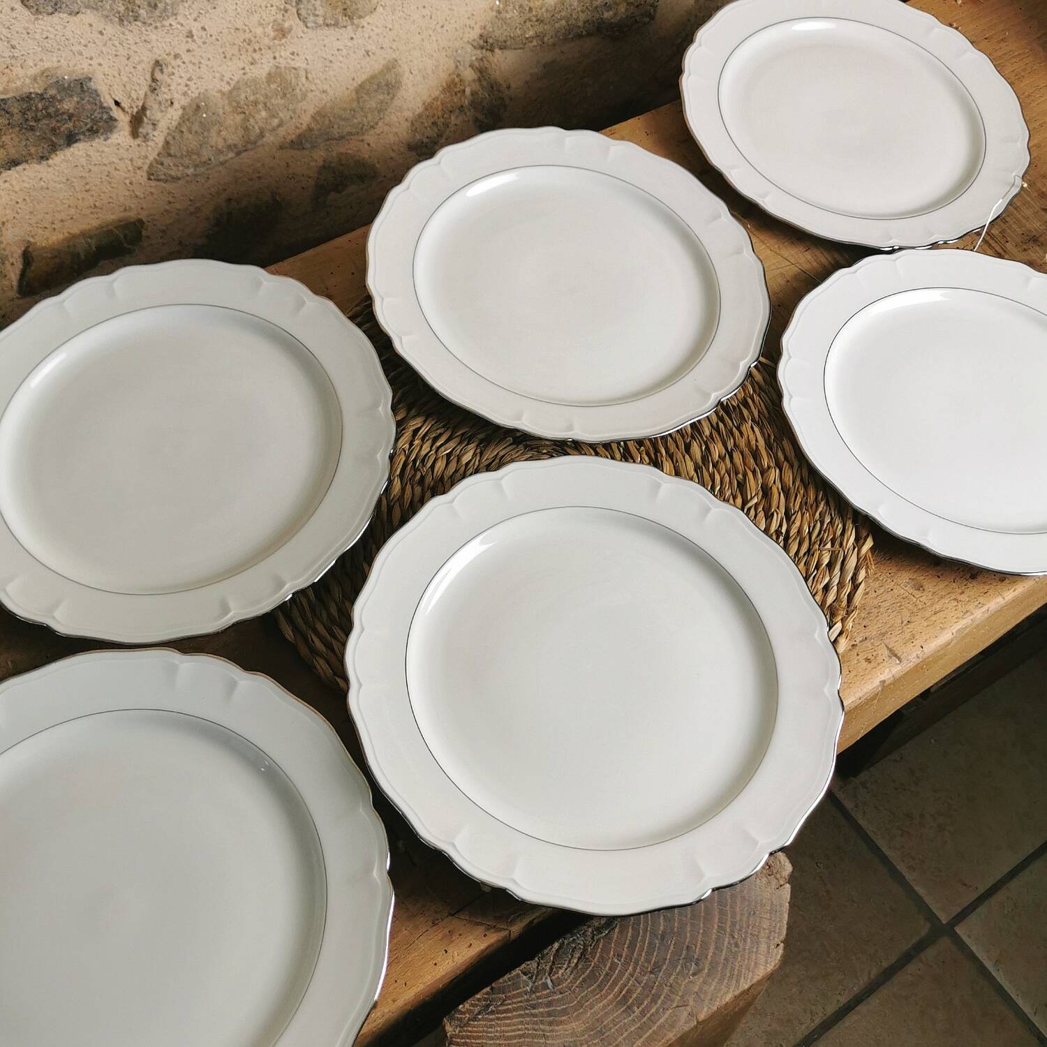 6 Limoges porcelain dinner plates