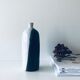 Black and white vase