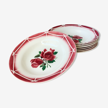 Assiettes Digoin Cibon Ironstone décor floral