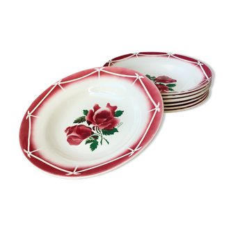 Assiettes Digoin Cibon Ironstone décor floral