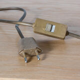 Lamp The Black dolphin