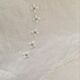 Taie monogrammed embroidered crossing V J