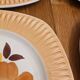 6 Mondovi plates
