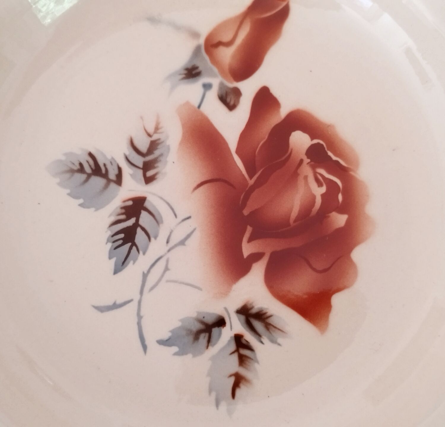 Hollow plates old earthenware Digoin Sarreguemines numbered vintage