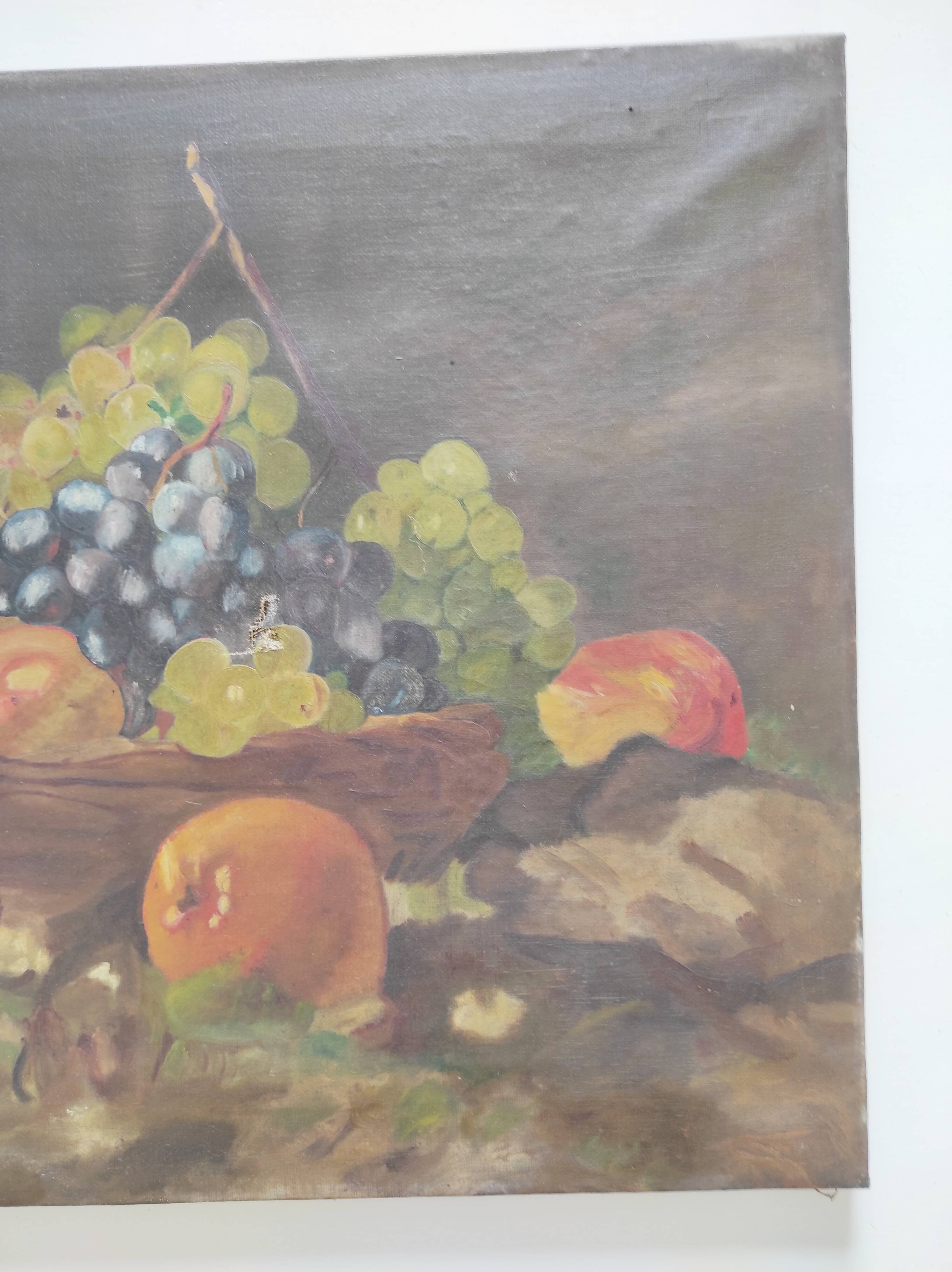 Still life oil on canvas, signed