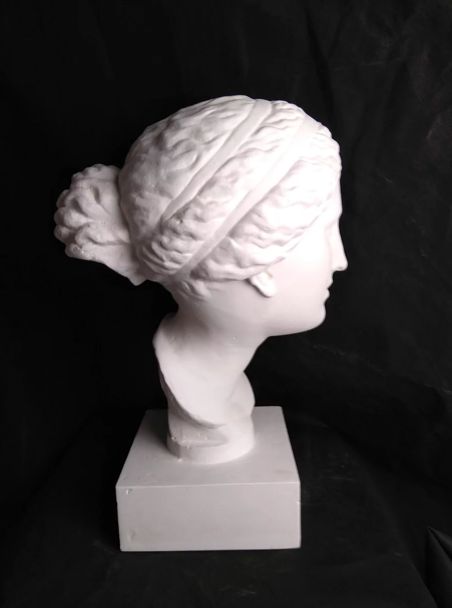 Venus known as Martre Tolosane | Musée Toulouse