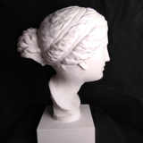Venus known as Martre Tolosane | Musée Toulouse