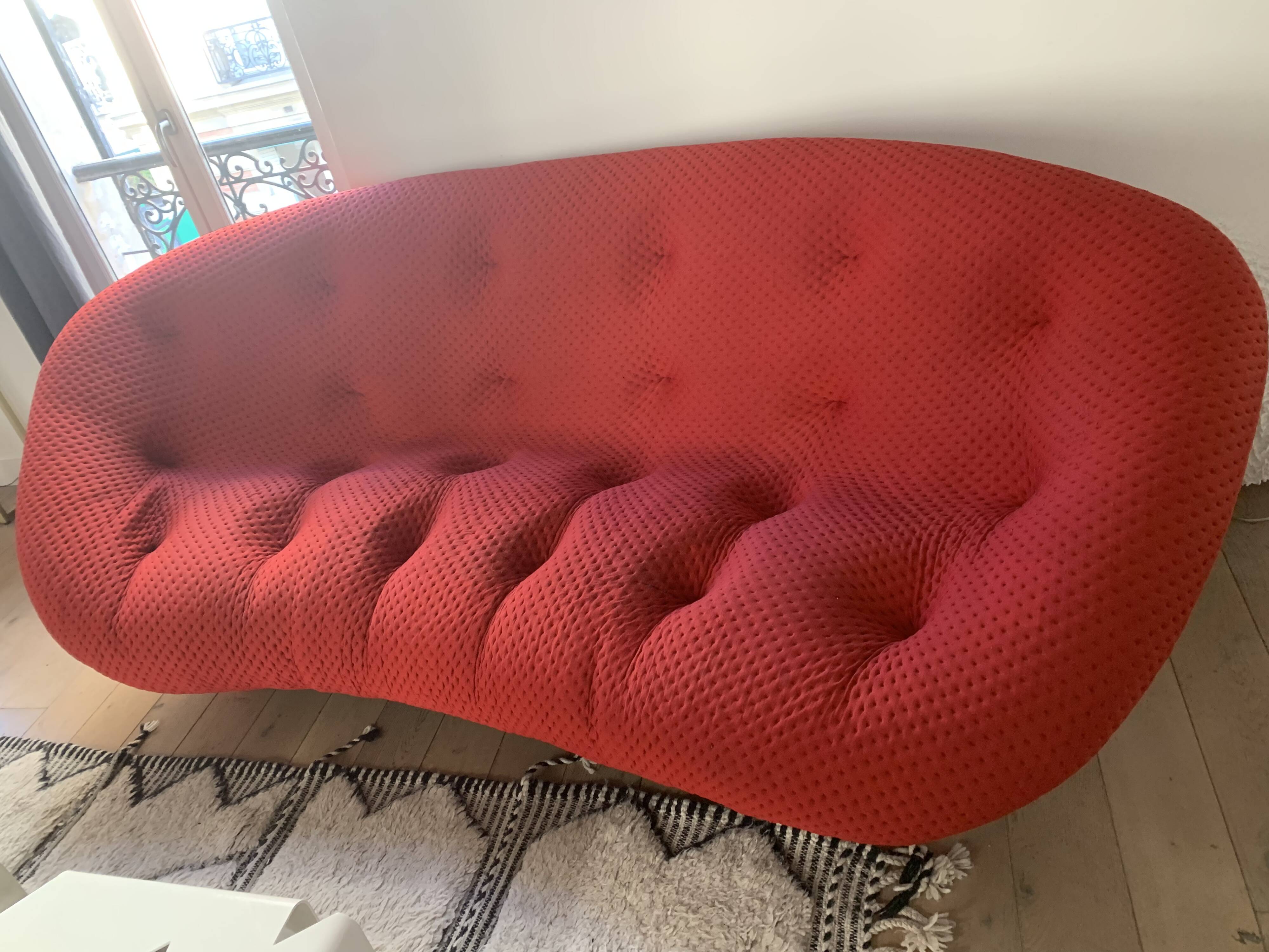 Red Canapé Plum (Large model)