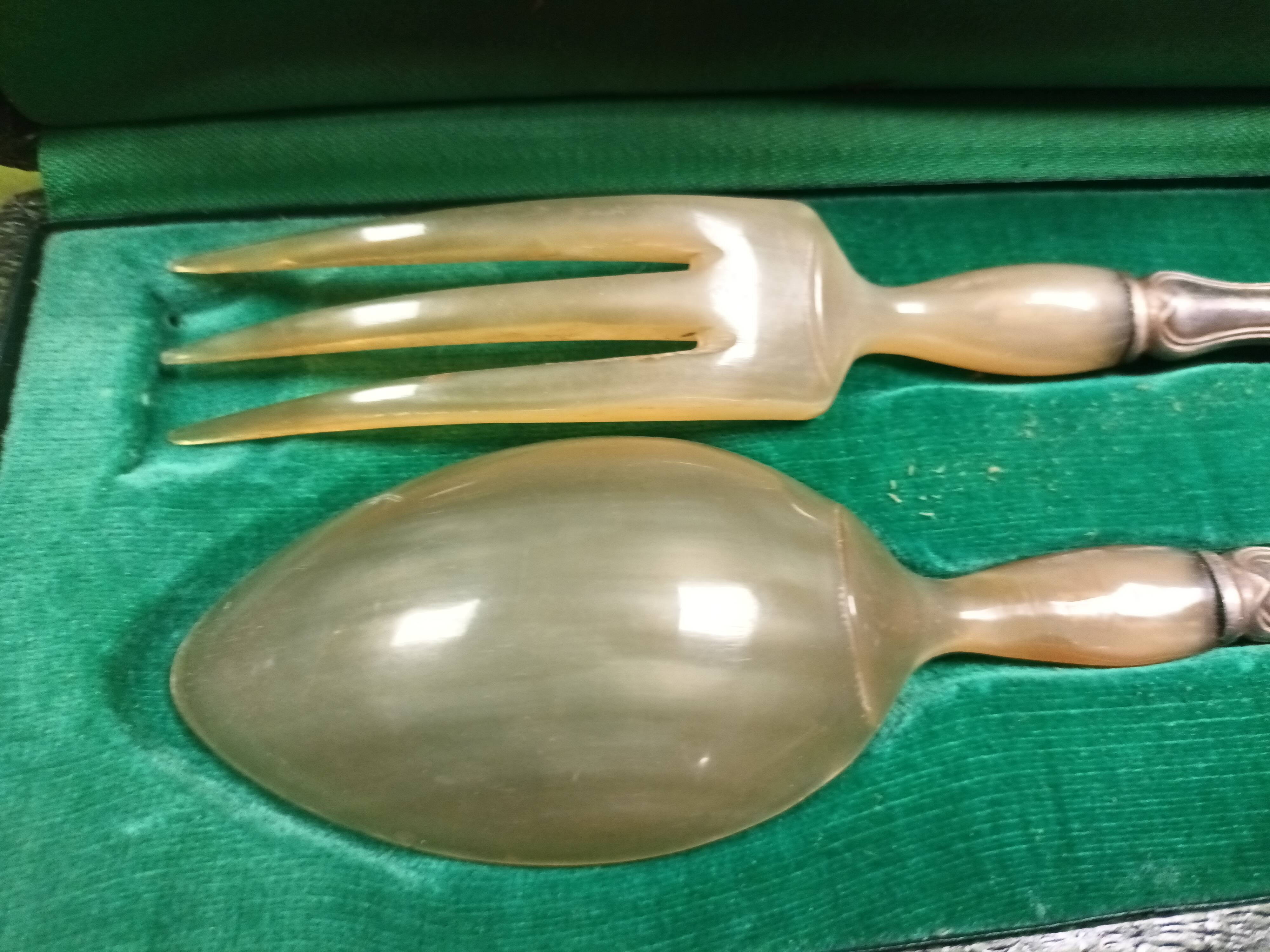 Silver metal cover and horn