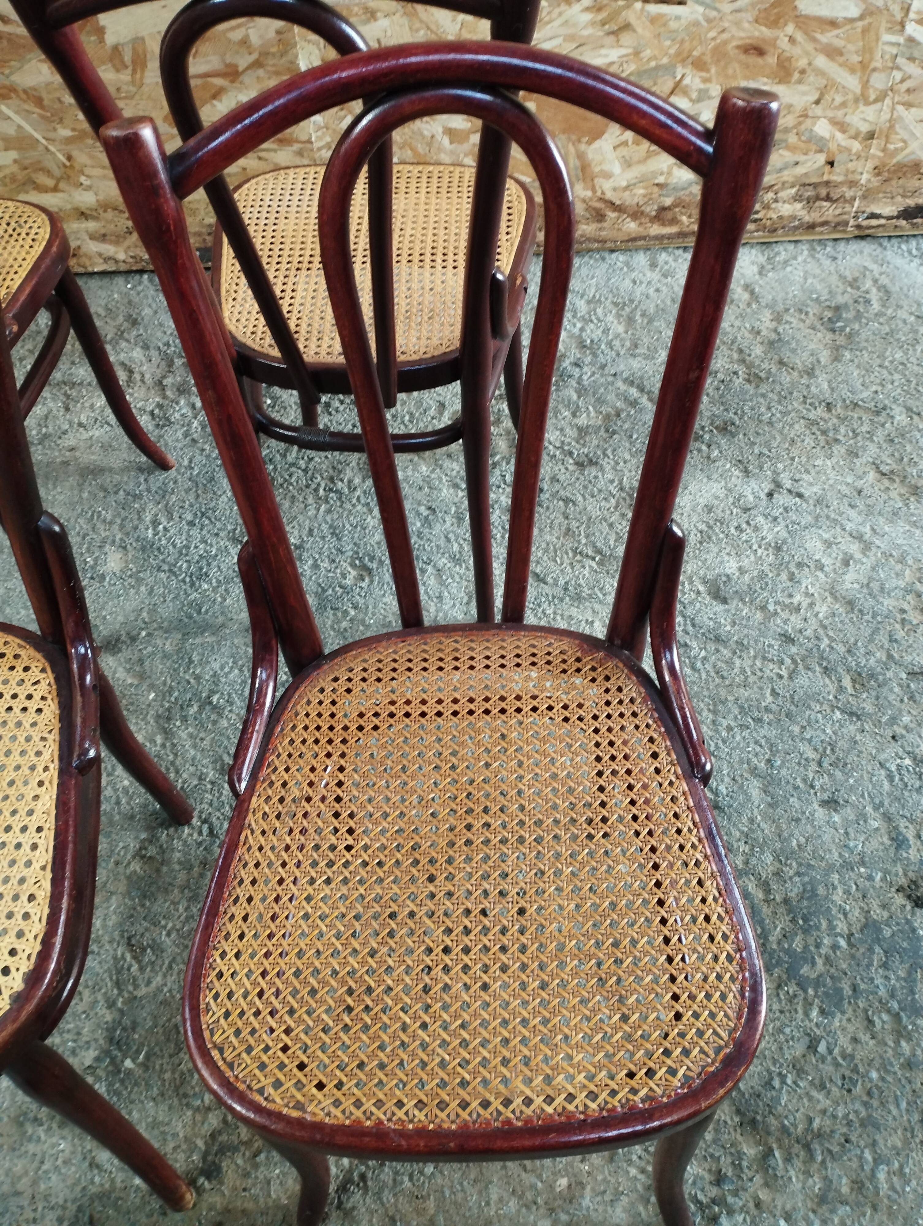 Set of Thonet chairs