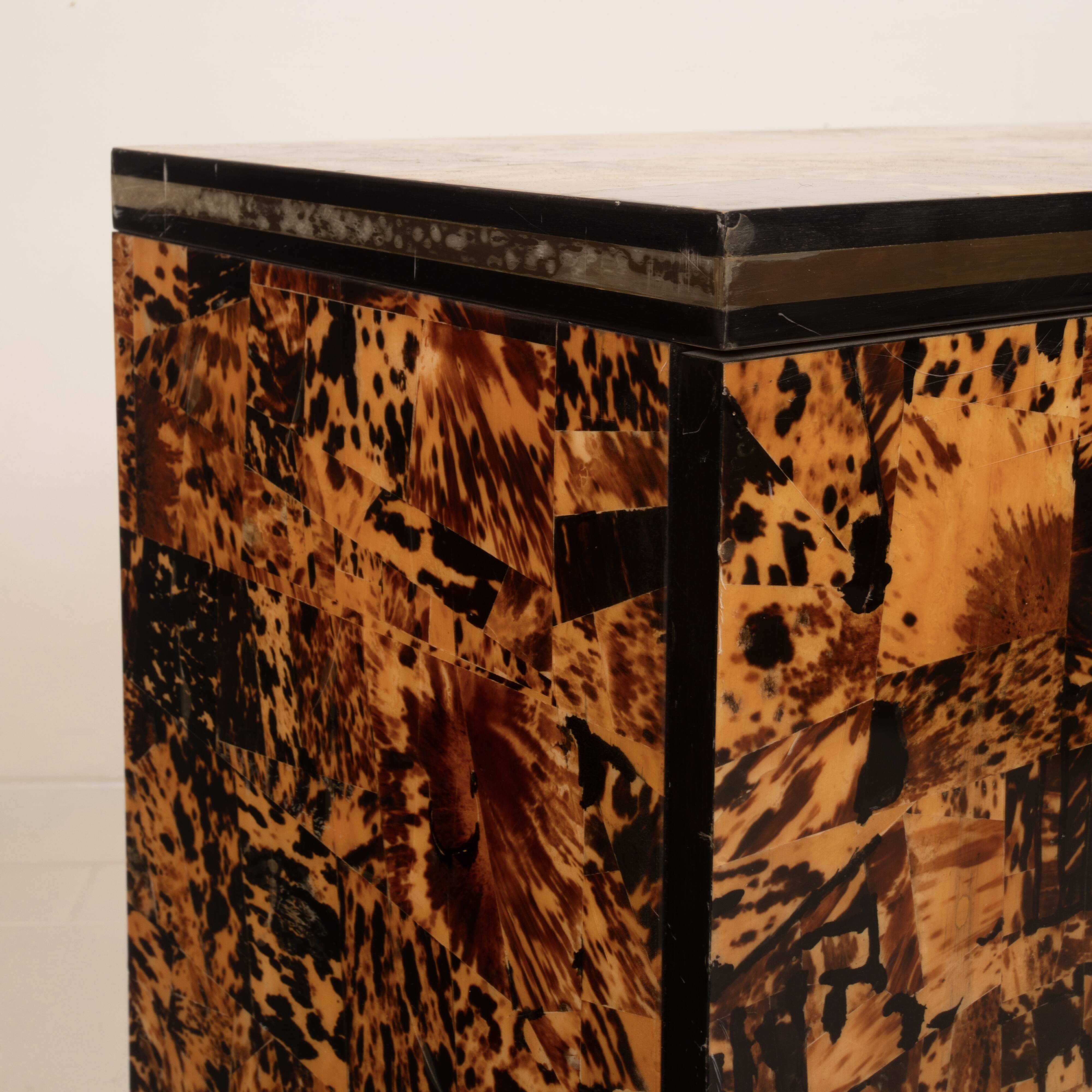 Unique Tortoiseshell Cabinet by Roberto Jodice for Ottini Milano 1974