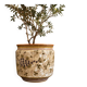 Large Italian Hand-Painted Ceramic Jardinière with Floral and Grape Motifs,