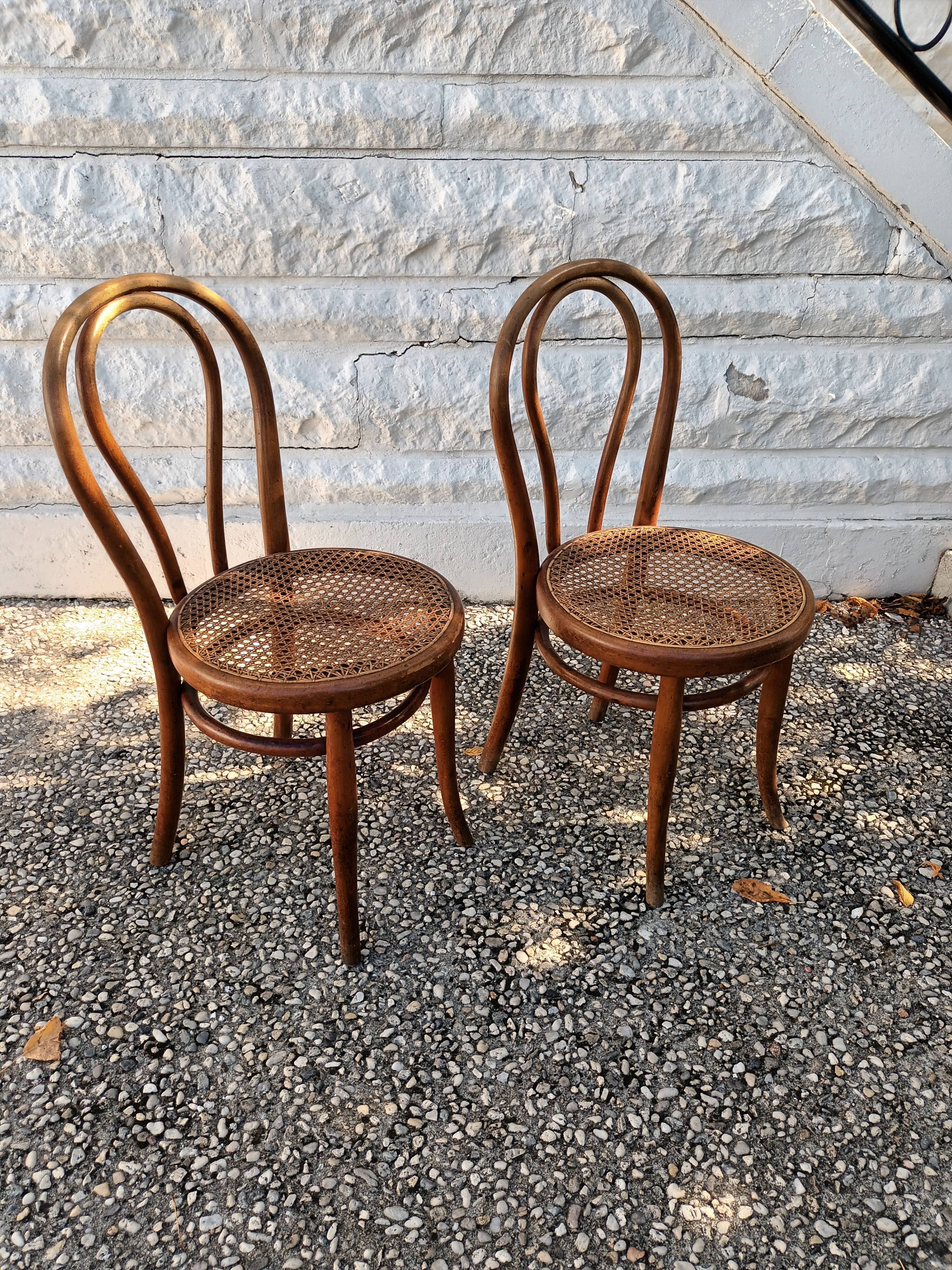 Canned chairs Thonet