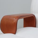 Fauteuil design Franz T. Sartori années 1970