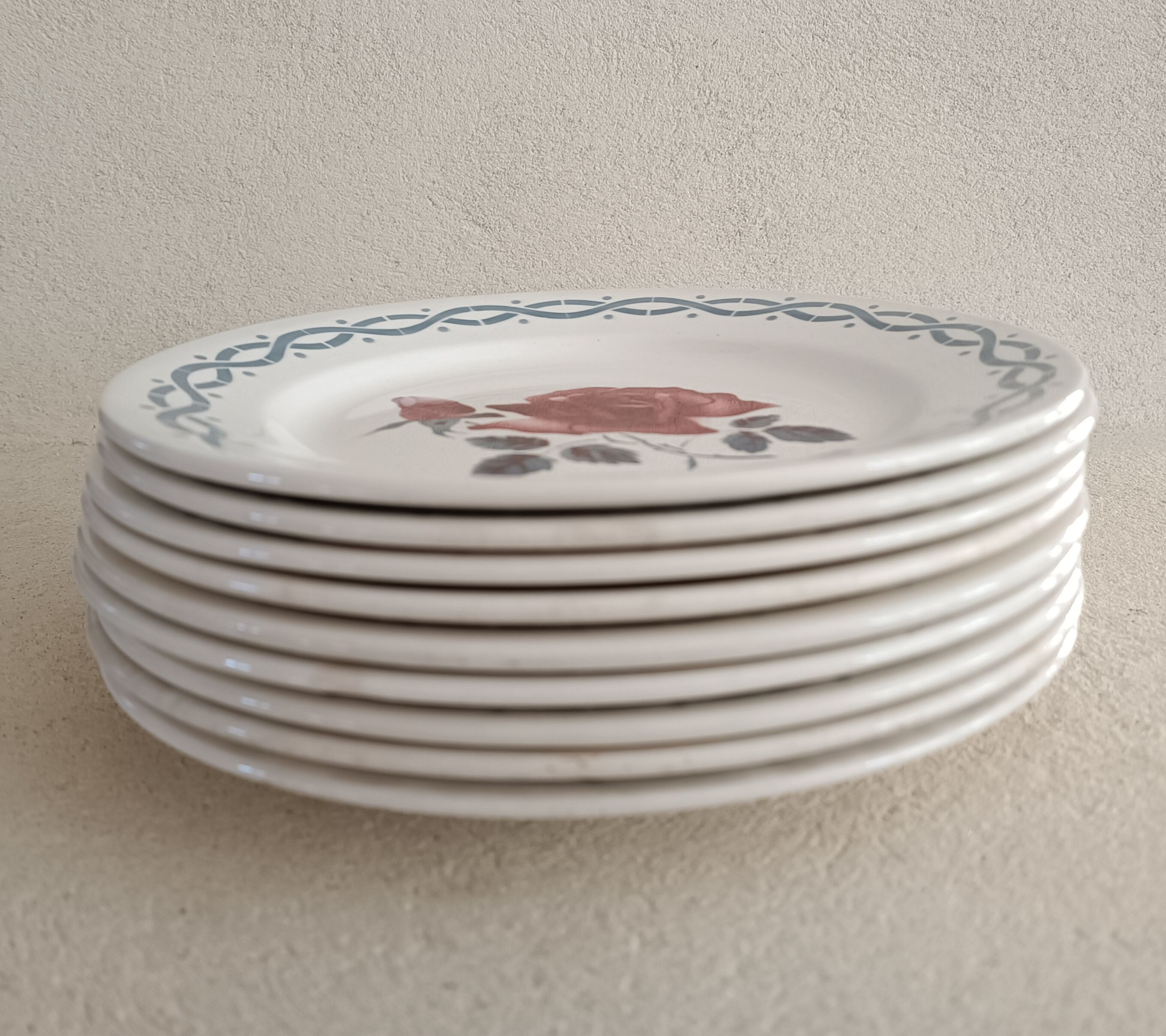 9 plates earth of iron Digoin Sarreguemines