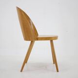 Chaise Antonin Suman des années 1960 en noyer, Tchécoslovaquie