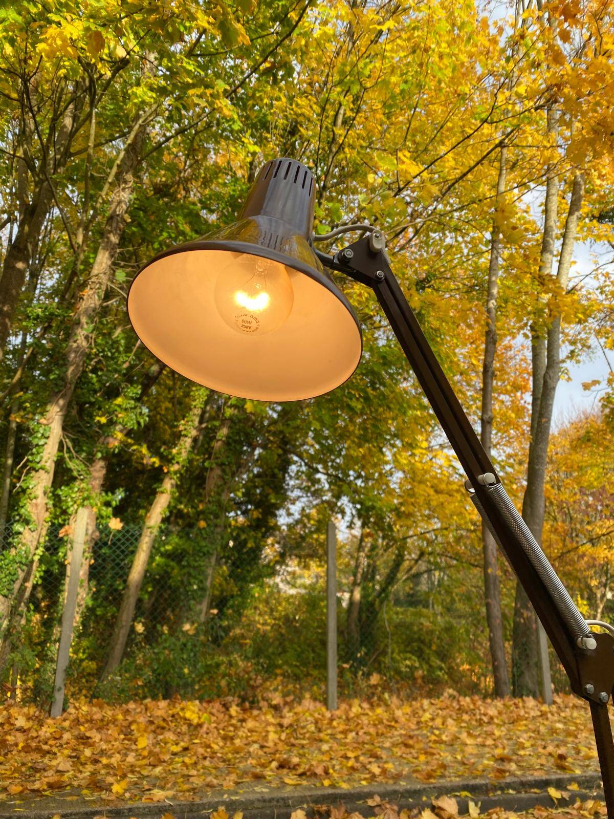 Lampe d'atelier articulée style Jacob Jacobsen Luxo années 70