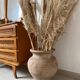 Terracotta pot