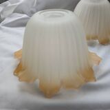 Pair of Art Deco glass tulips / pendant lights