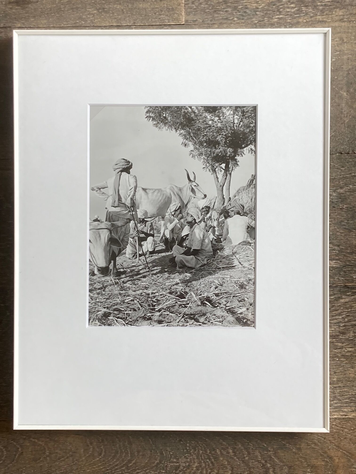 Original photograph by Suraj N Sharma: Chaksu Pilgrimage