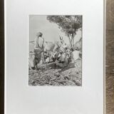 Original photograph by Suraj N Sharma: The Chaksu Pilgrimage