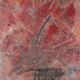 « L'Arbre d'automne » de Robert Möller