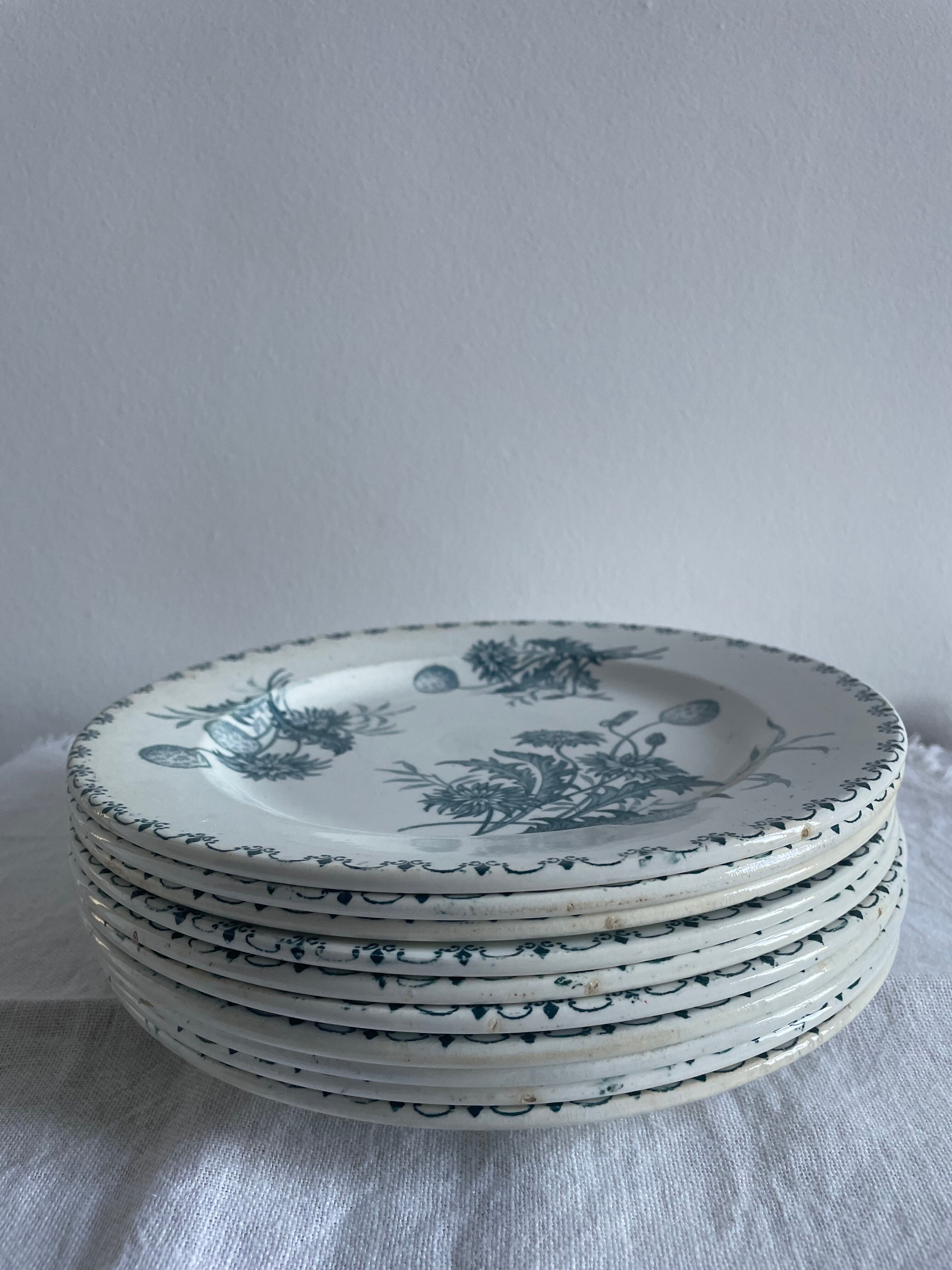 Set of 10 flat plates Terre de Fer XIXth, "Madrid"