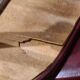 4 chaises vintage bordeaux