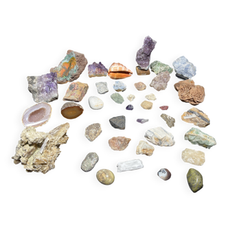 Lot of 76 minerals and shells
