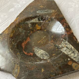Vintage stone ashtray with orthoceras fossils