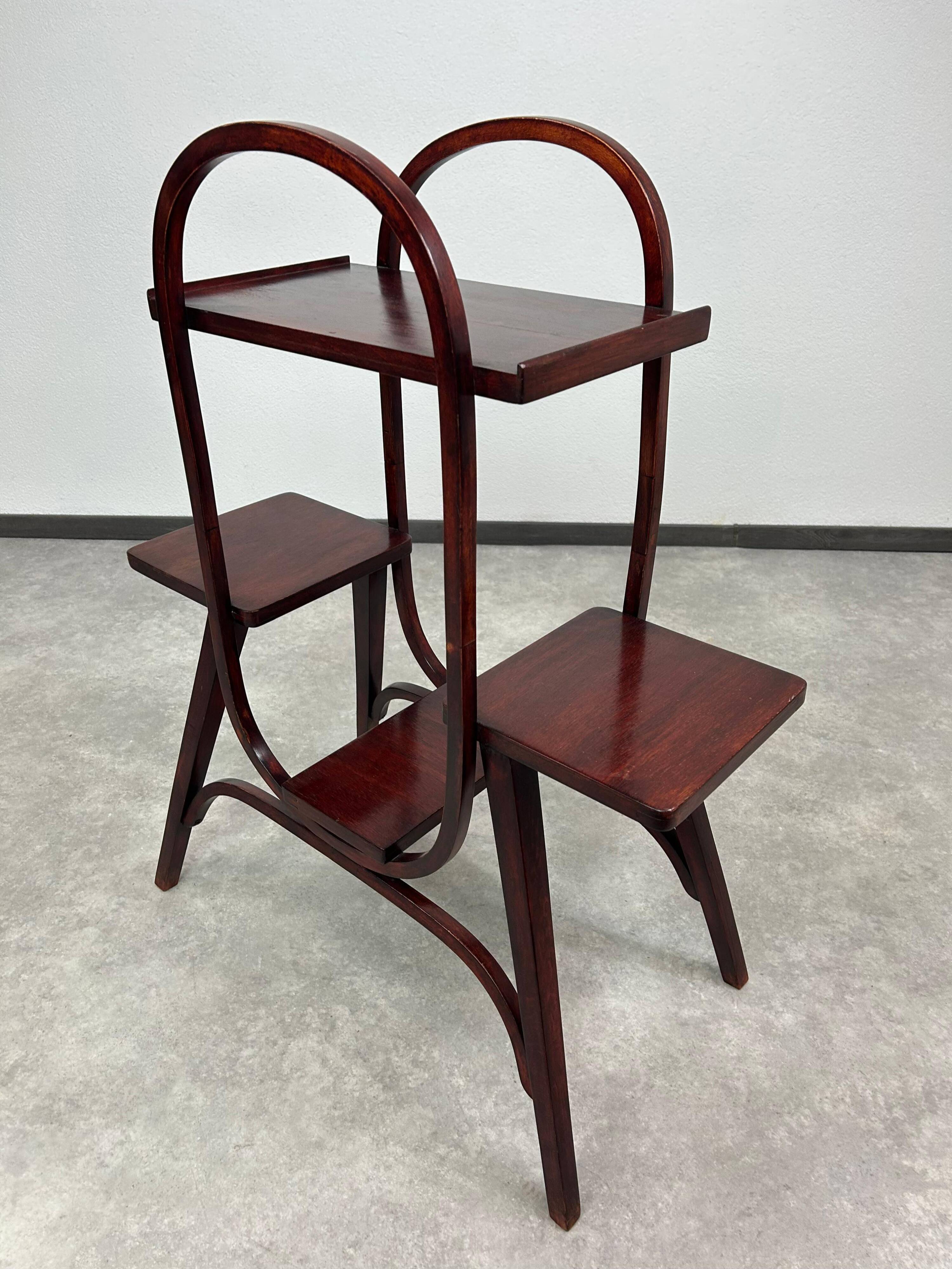 Jugendstil plante stan par Thonet