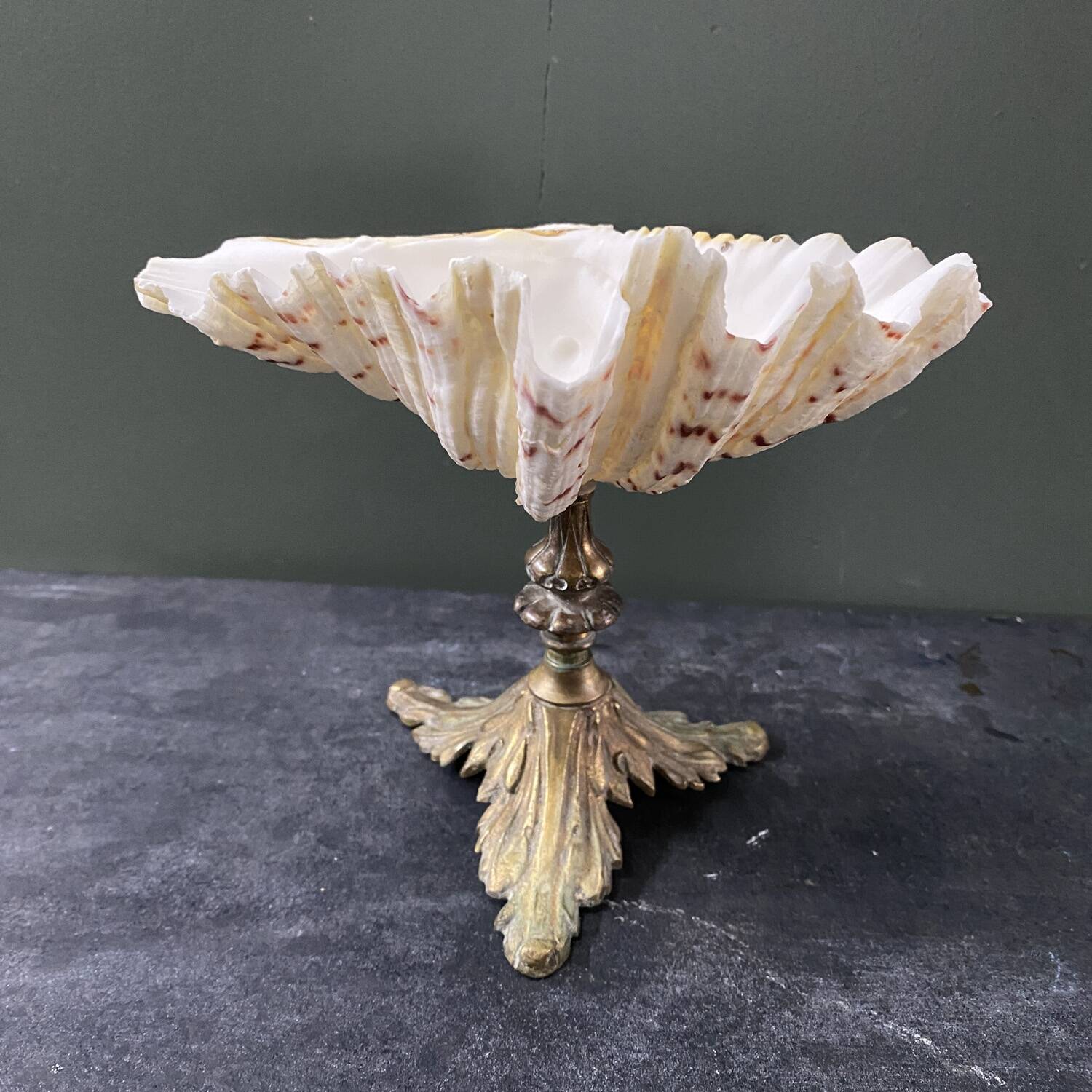 Holy water stoup shell on base