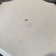 Limoges porcelain top "Forget-me-nots" old