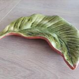 Empty leaf pocket