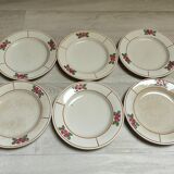 Set of 6 iron earth plates