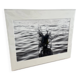 Photo Alice ducheix - Gallery Zones