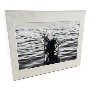 Photo Alice ducheix - Zones Galerie