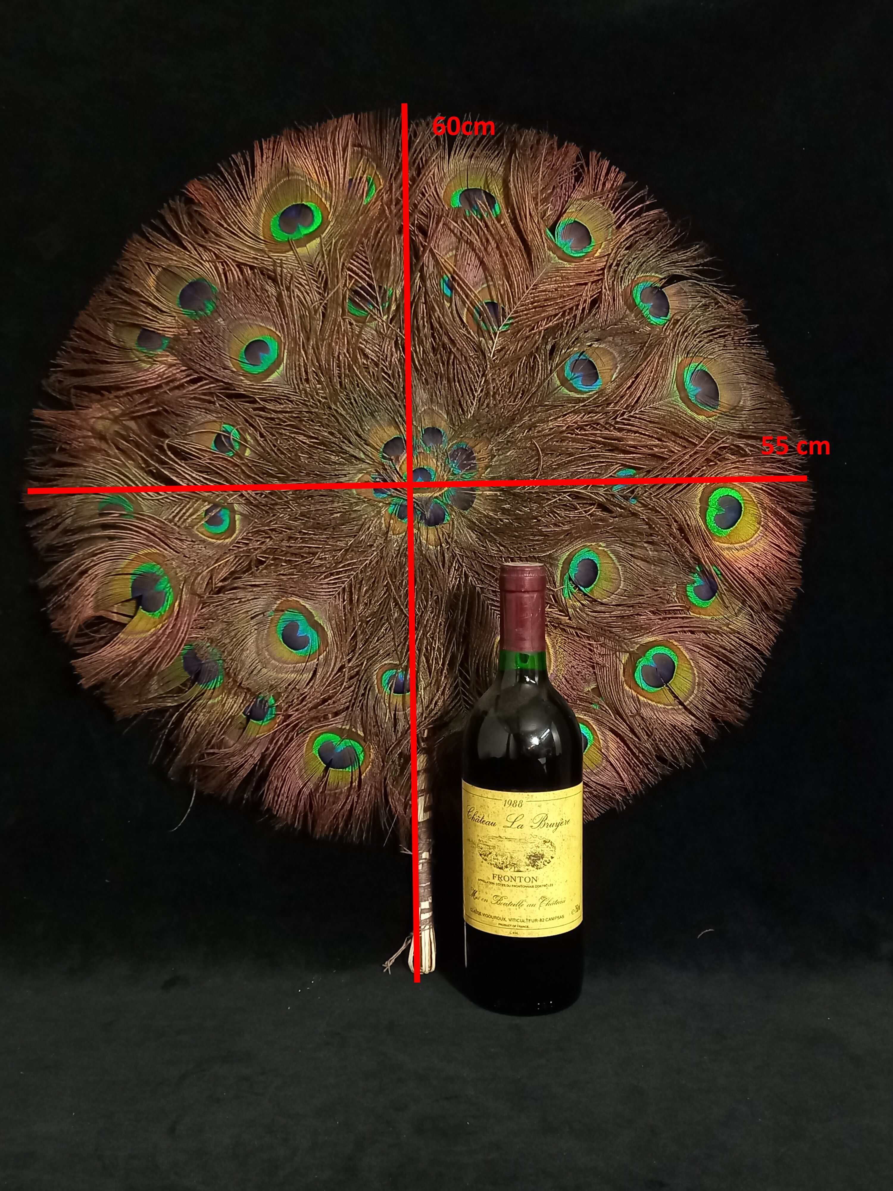 Double-sided peacock feathered eventail