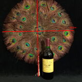 Double-sided peacock feathered eventail