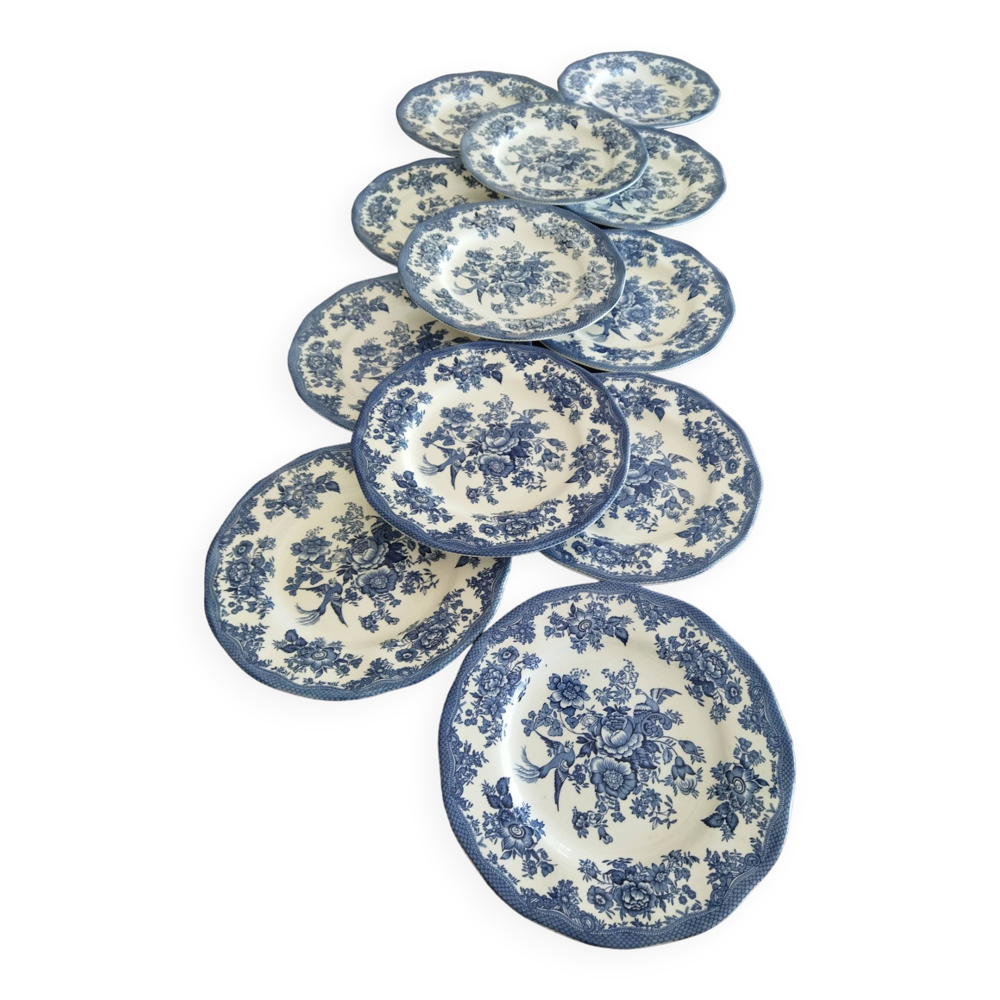 12 English dinner plates Enoch Wedgwood "Asiatic Pheasants"
