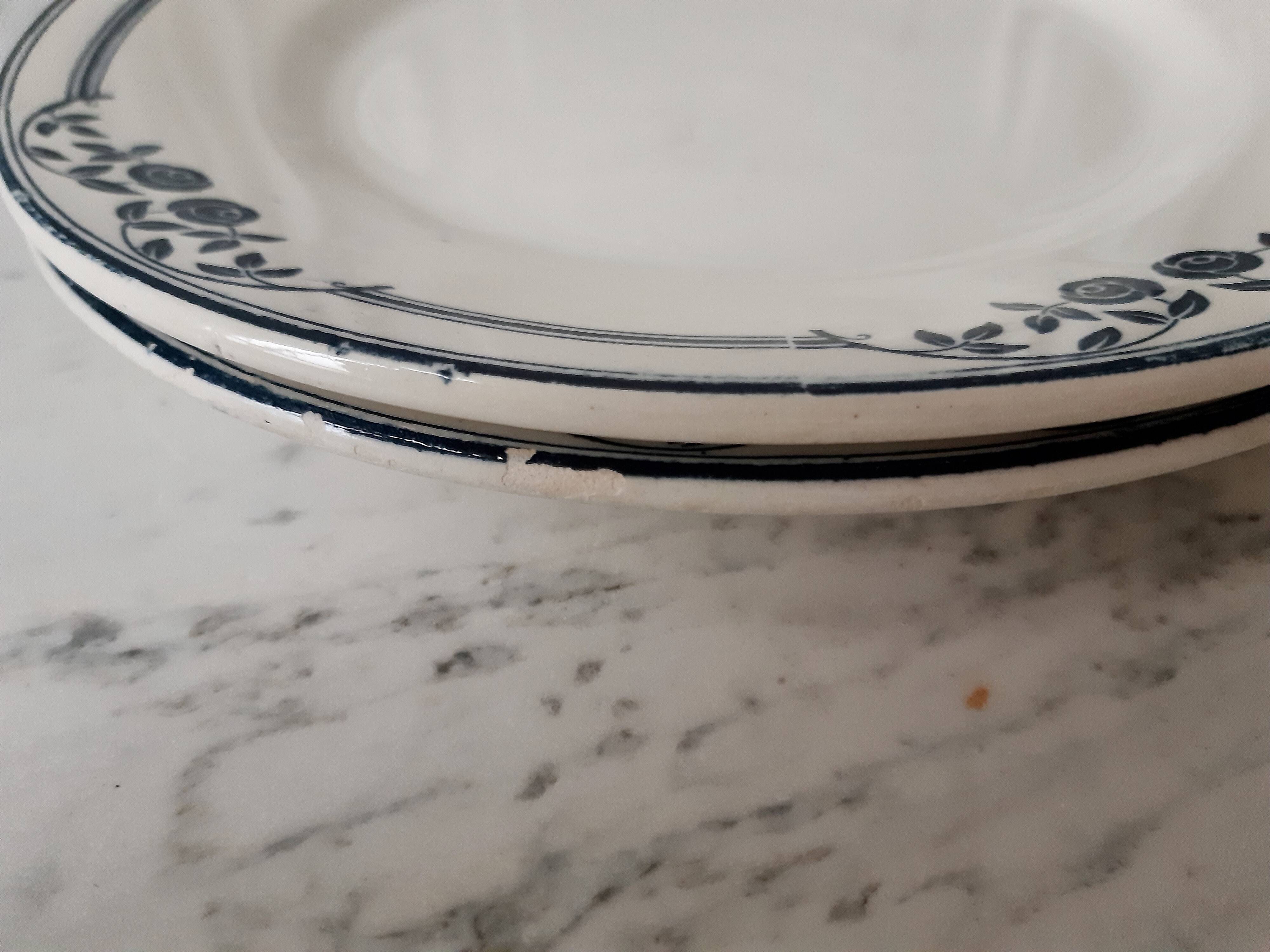 Lot of 2 dessert plates Terre de Fer Salins, Saussure model