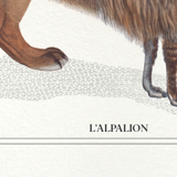 Set of 2 framed chimera lithography animal engraving